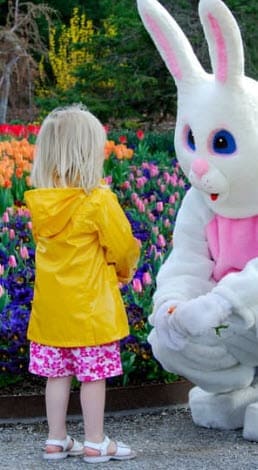 Easter Bunny
