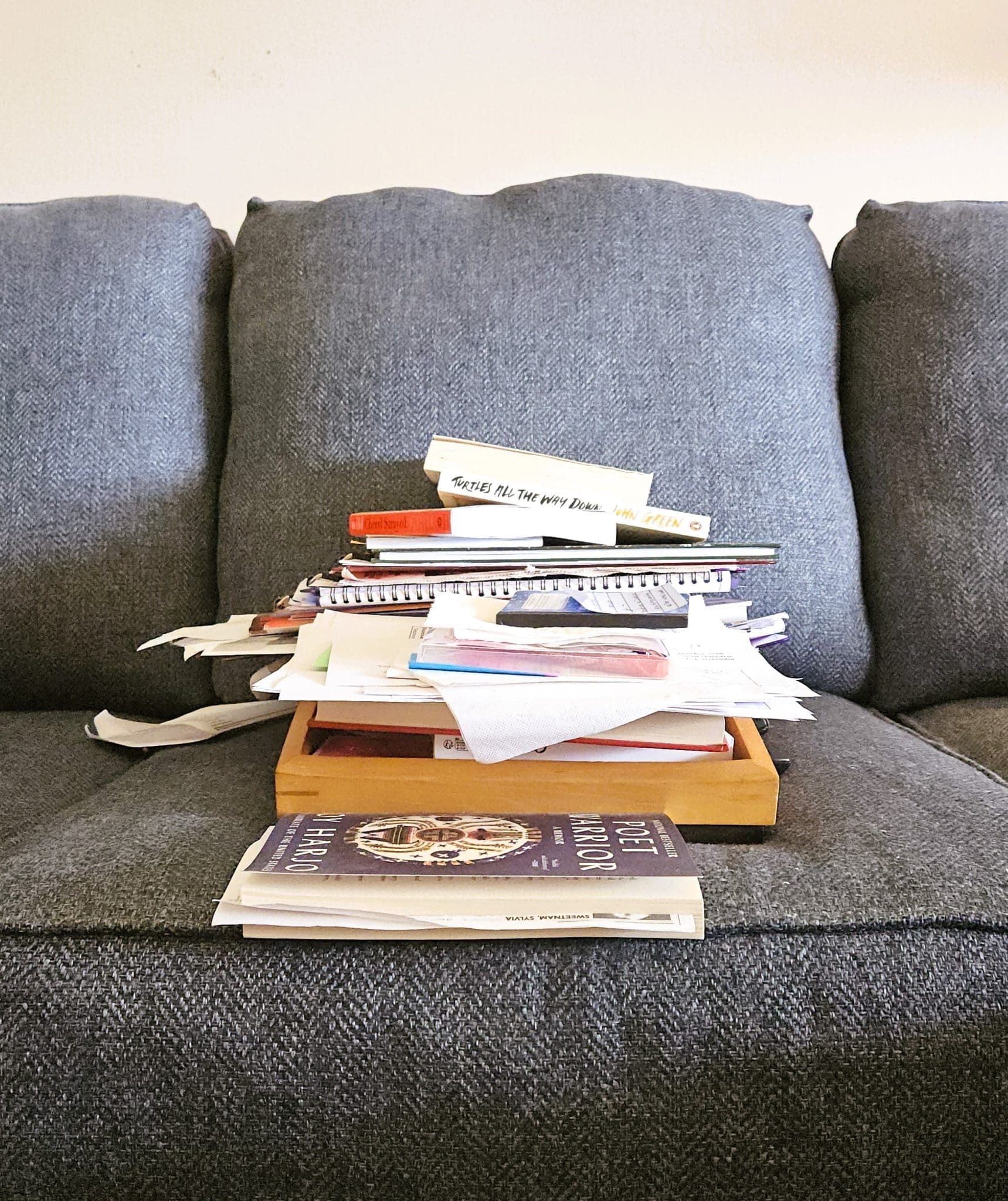 My Pile on the Couch v2