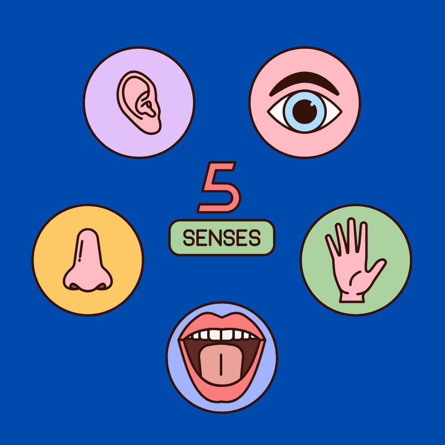 Five Senses (Square)